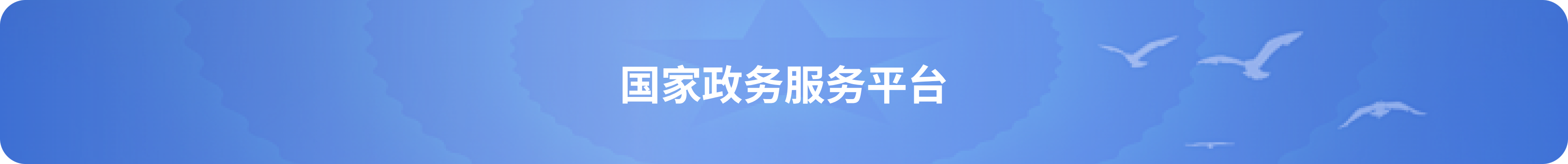 国家政务服务平台